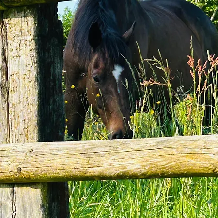 Les Maisons De Marie * Manerbe