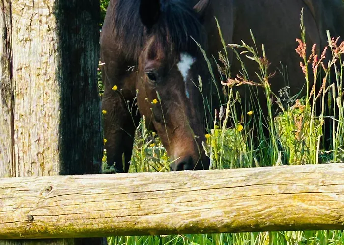 Les Maisons De Marie * Manerbe