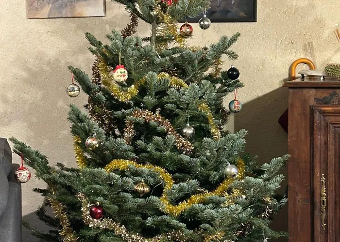 Les Maisons De Marie Σπίτι διακοπών Manerbe